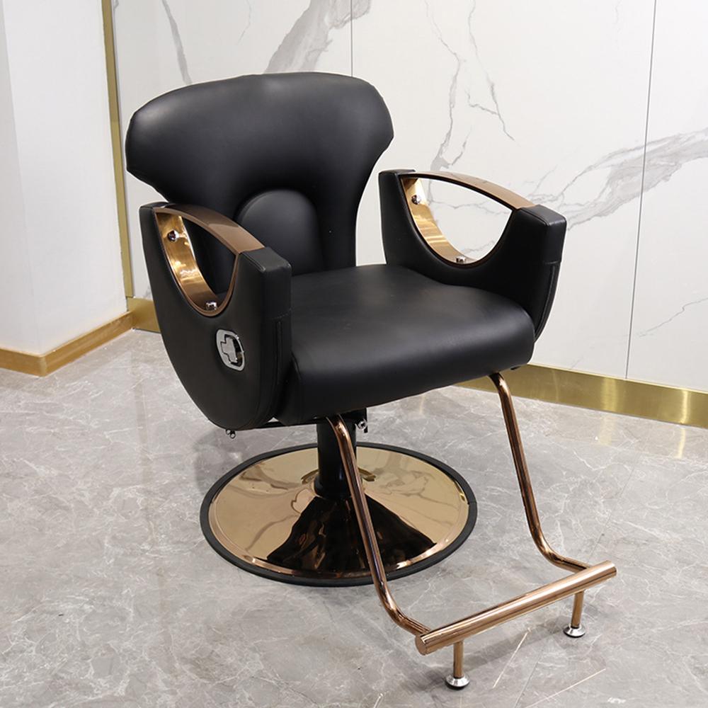2Pcs Salon Styling Chair Hydra - đánh giá và giá Gasket Mount Kit
